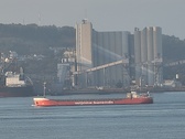 Enlarge photo 237