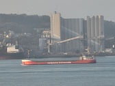Enlarge photo 238