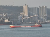 Enlarge photo 239