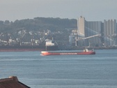 Enlarge photo 235