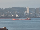 Enlarge photo 233
