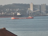 Enlarge photo 231