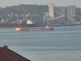 Enlarge photo 230