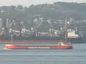 Enlarge photo 229