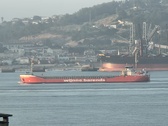 Enlarge photo 228