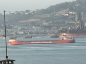 Enlarge photo 225