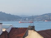 Enlarge photo 226