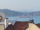 Enlarge photo 227