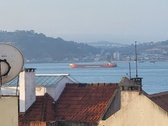 Enlarge photo 223