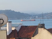 Enlarge photo 222