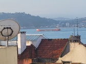 Enlarge photo 221