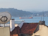 Enlarge photo 220