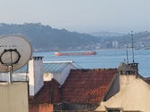 Enlarge photo 217