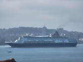 Enlarge photo 216