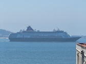 Enlarge photo 204