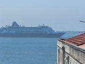 Enlarge photo 205