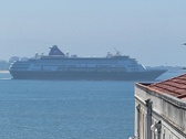 Enlarge photo 206