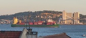 Enlarge photo 199