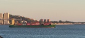 Enlarge photo 198