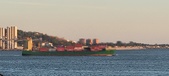 Enlarge photo 197