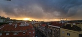 Enlarge photo 96