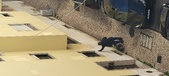 Enlarge photo 128