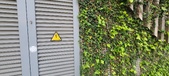 Enlarge photo 139