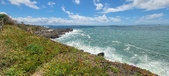 Enlarge photo 172