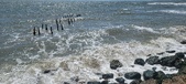 Enlarge photo 174