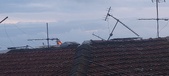 Enlarge photo 38