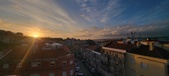 Enlarge photo 87