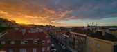Enlarge photo 184