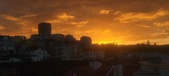 Enlarge photo 188