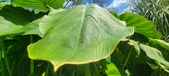 Enlarge photo 168