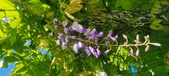 Enlarge photo 169