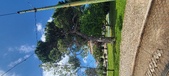 Enlarge photo 166