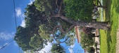 Enlarge photo 164