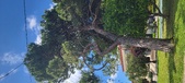 Enlarge photo 165