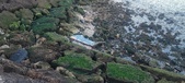 Enlarge photo 106