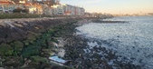 Enlarge photo 101