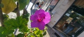 Enlarge photo 95