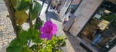 Enlarge photo 93