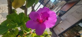 Enlarge photo 92