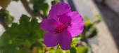 Enlarge photo 91