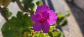 Enlarge photo 90