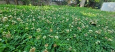 Enlarge photo 87