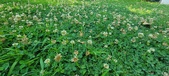 Enlarge photo 88