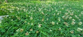 Enlarge photo 85