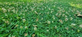 Enlarge photo 84