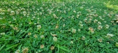 Enlarge photo 83